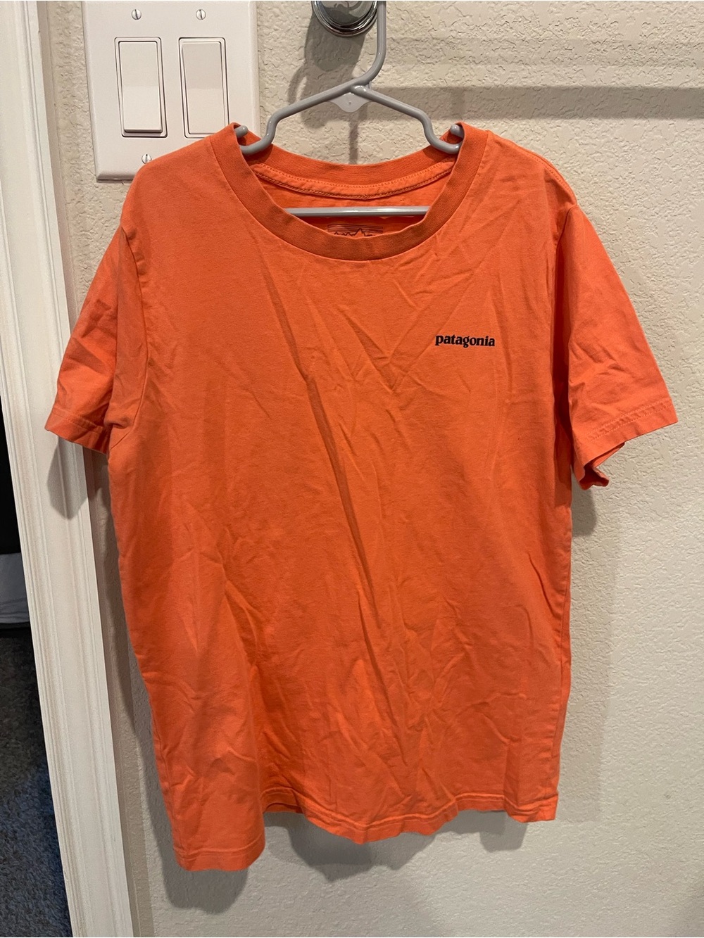 Patagonia shirt
